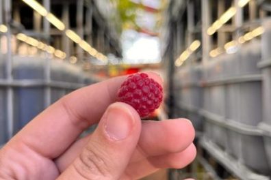 Normandy Aquaponics Tour & Workshops Experience