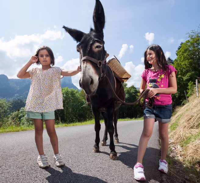 Rhône-Alpes Walk with Donkeys Experience