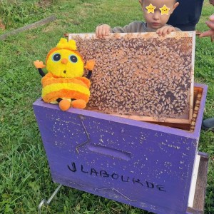 Brittany Little Beekeeper Workshop Experience