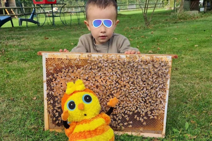 Brittany Little Beekeeper Workshop Experience