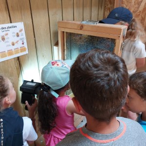 Brittany Little Beekeeper Workshop Experience