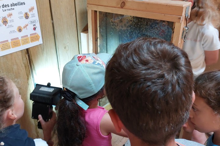 Brittany Little Beekeeper Workshop Experience