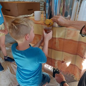 Brittany Little Beekeeper Workshop Experience