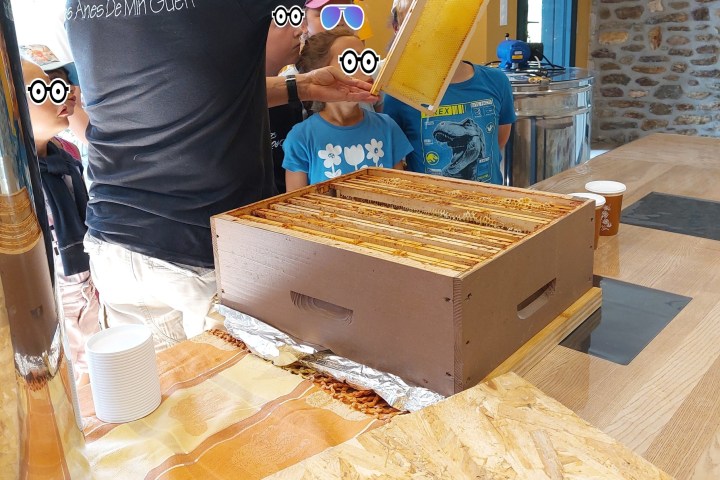 Brittany Little Beekeeper Workshop Experience