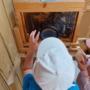 Brittany Little Beekeeper Workshop Experience