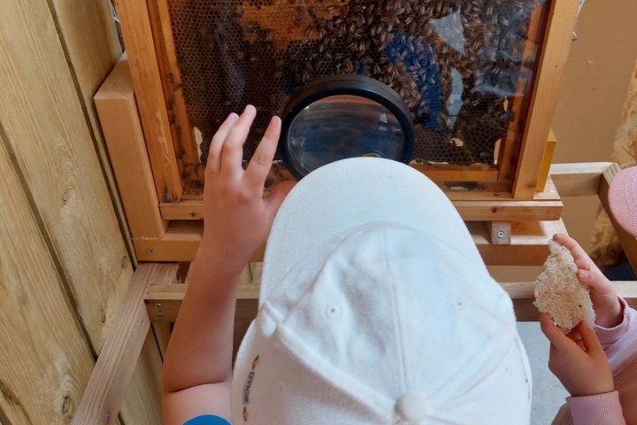 Brittany Little Beekeeper Workshop Experience