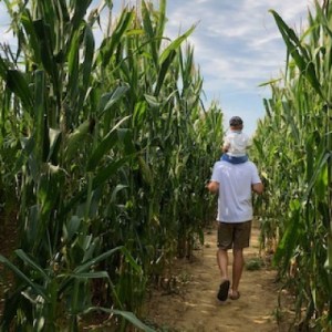 Friuli-Venezia Giulia Farm Picnic & Maze Experience