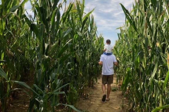 Friuli-Venezia Giulia Farm Picnic & Maze Experience