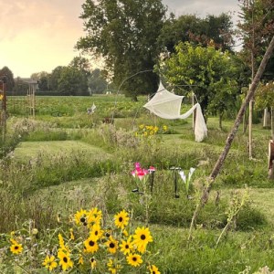 Friuli-Venezia Giulia Farm Picnic & Maze Experience