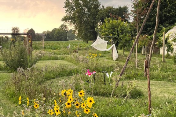 Friuli-Venezia Giulia Farm Picnic & Maze Experience