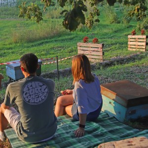 Verona Beekepping Visit & Tasting Experience