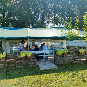 Verona Beekepping Visit & Tasting Experience