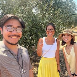 Puglia Olive Oil Tasting Experience