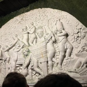 Champagne Guided Tour Experience