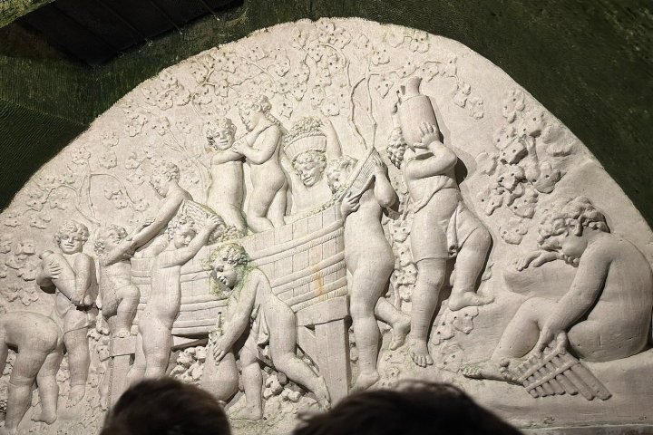 Champagne Guided Tour Experience