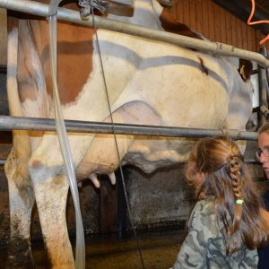 Rhône-Alpes Milk Farm Visit Experience