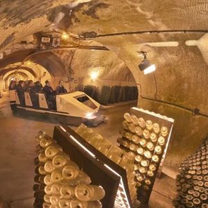 Champagne Guided Tour Experience