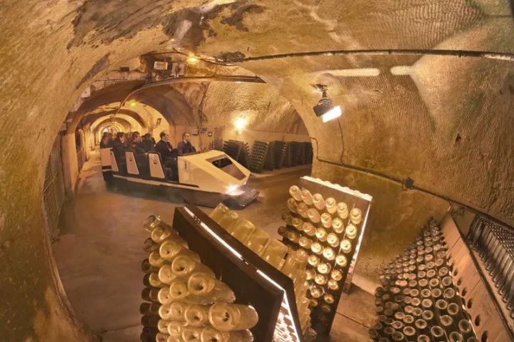 Champagne Guided Tour Experience