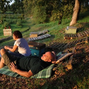 Verona Beekepping Visit & Tasting Experience