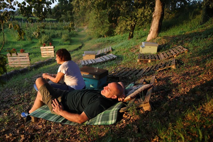 Verona Beekepping Visit & Tasting Experience