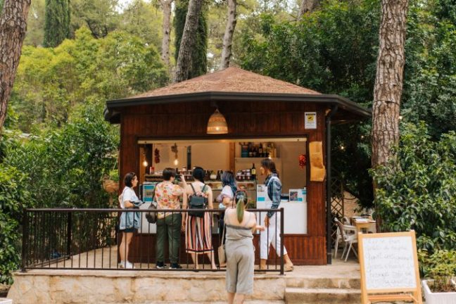 Puglia Cheese & Lunch Experience