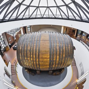 Champagne Guided Tour Experience