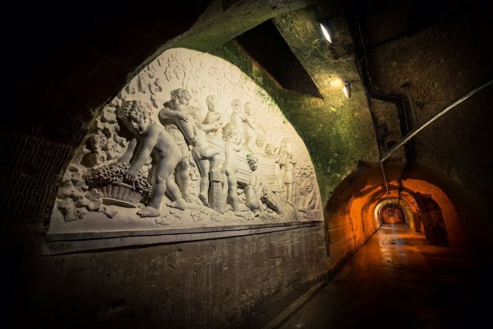 Champagne Guided Tour Experience