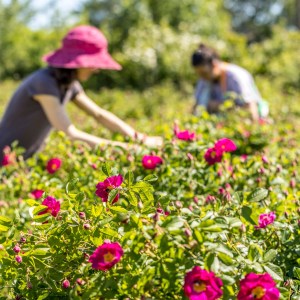 Loire Garden & Farm Immersive Experience