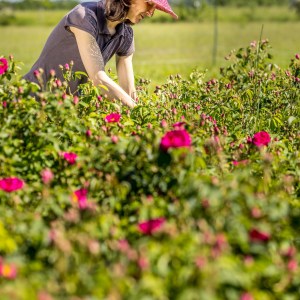 Loire Garden & Farm Immersive Experience