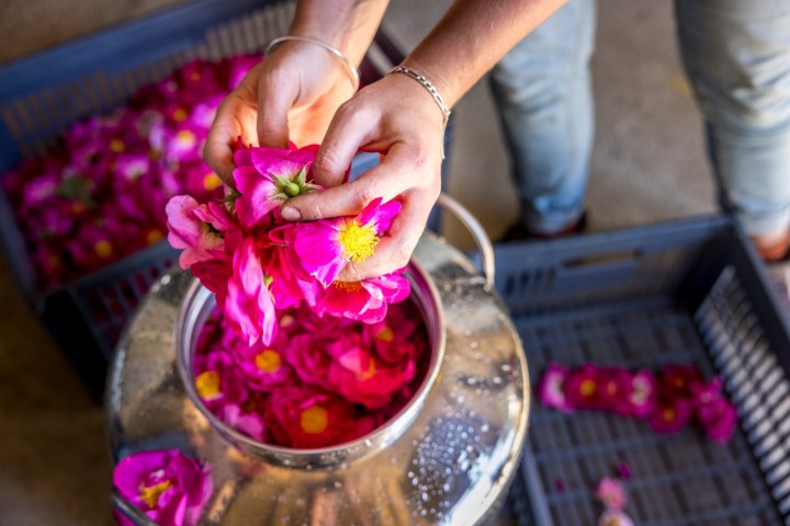 Loire Garden & Farm Immersive Experience