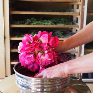 Loire Garden & Farm Immersive Experience