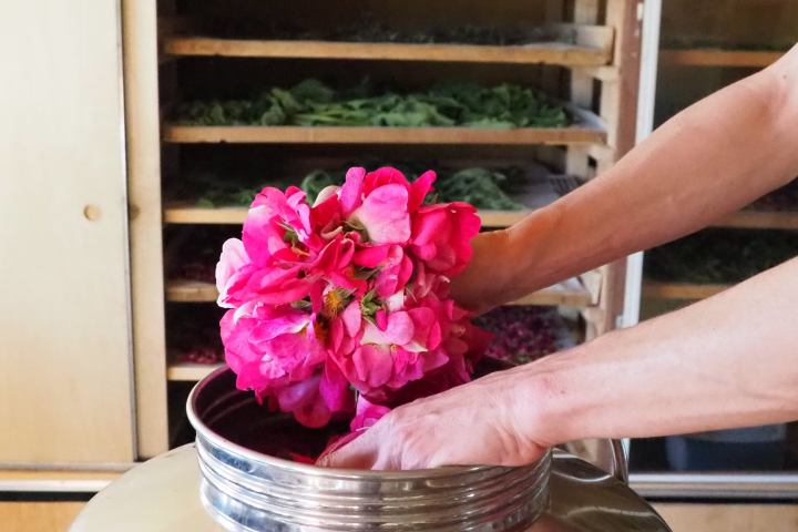 Loire Garden & Farm Immersive Experience