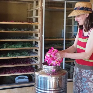 Loire Garden & Farm Immersive Experience