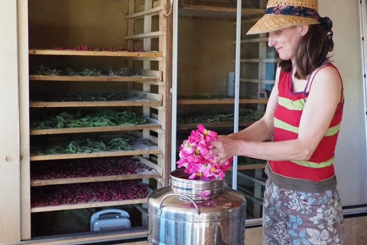 Loire Garden & Farm Immersive Experience