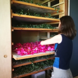 Loire Garden & Farm Immersive Experience