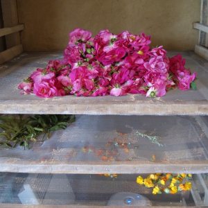 Loire Garden & Farm Immersive Experience