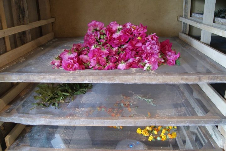 Loire Garden & Farm Immersive Experience