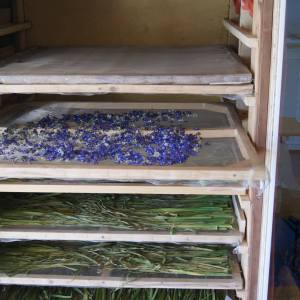 Loire Garden & Farm Immersive Experience