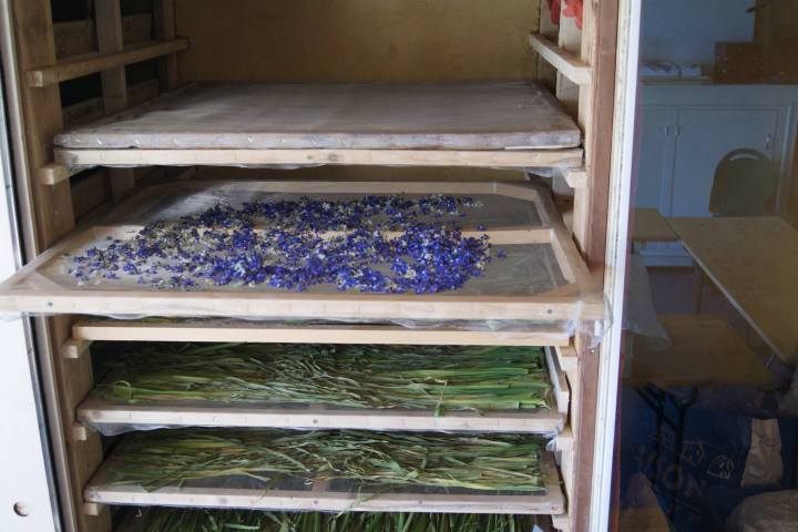 Loire Garden & Farm Immersive Experience