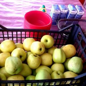 Lazio Jam Workshop Experience