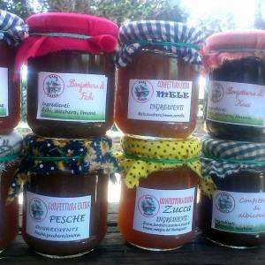 Lazio Jam Workshop Experience