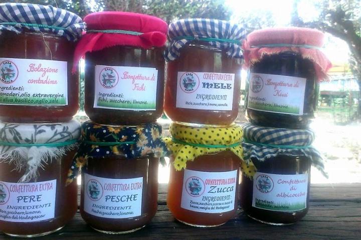 Lazio Jam Workshop Experience