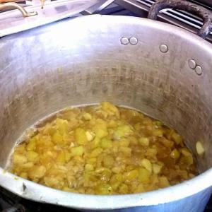 Lazio Jam Workshop Experience