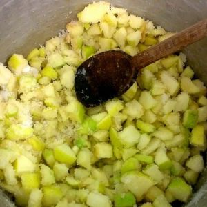 Lazio Jam Workshop Experience