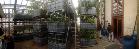 Normandy Aquaponics Tour & Workshops Experience