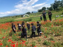 Verona Beekepping Visit & Tasting Experience