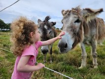 Pays-de-la-Loire Introduction to the Farm Experience