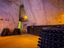 Champagne Brut Tasting Experience