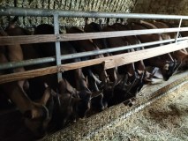 Loire Garden & Farm Immersive Experience