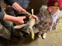 Aquitaine Bread Workshop Experience